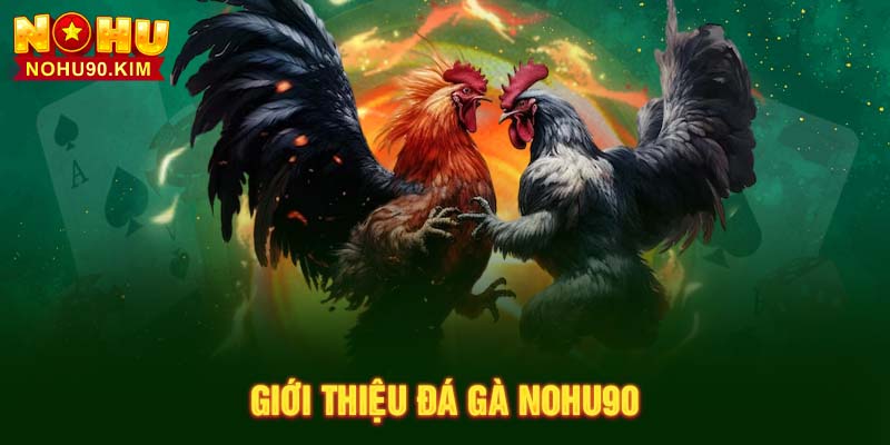 Giới thiệu Đá Gà NOHU90