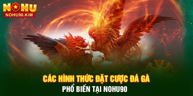 Các hình thức đặt cược đá gà phổ biến tại NOHU90