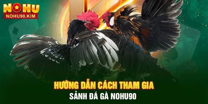 Hướng dẫn cách tham gia sảnh Đá Gà NOHU90