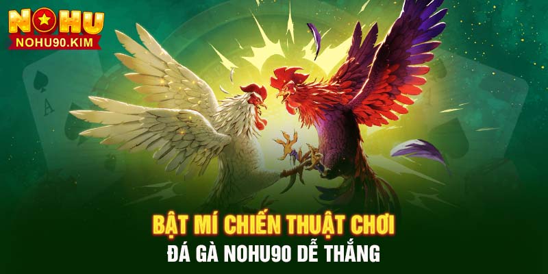 Bật mí chiến thuật chơi Đá Gà NOHU90 dễ thắng