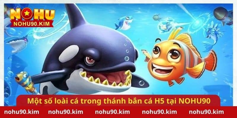 Một số loài cá có trong trò chơi thánh bắn cá H5 tại NOHU90