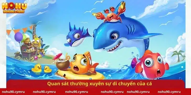 Quan sát thường xuyên sự di chuyển của cá